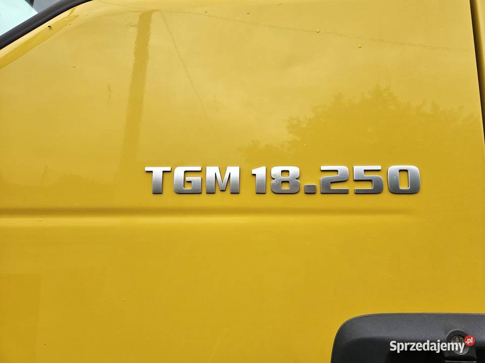 MAN TGM 18250 4x4 Specjalny Piaskarka SCHMIDT Specjalne Ropczyce