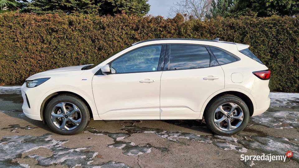 Ford Escape Kuga 20 benzyna 252 automat STLine Katowice