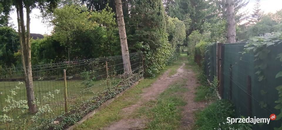 Działka ROD Gaj Janowiecka 77 Warszawa sprzedam