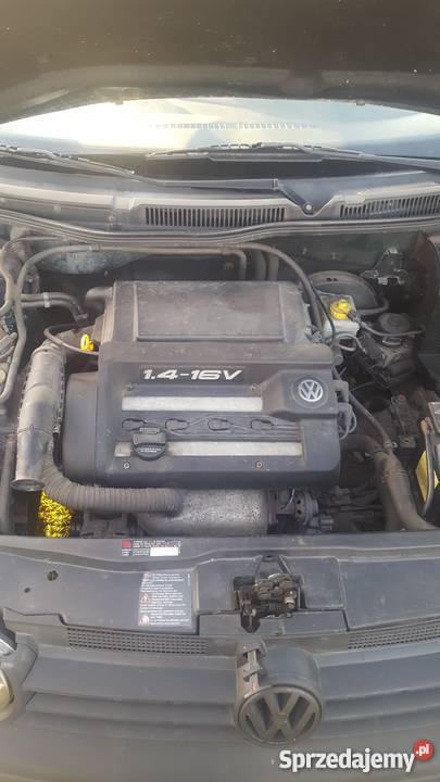 Golf 4 14 1999r 1400cm3