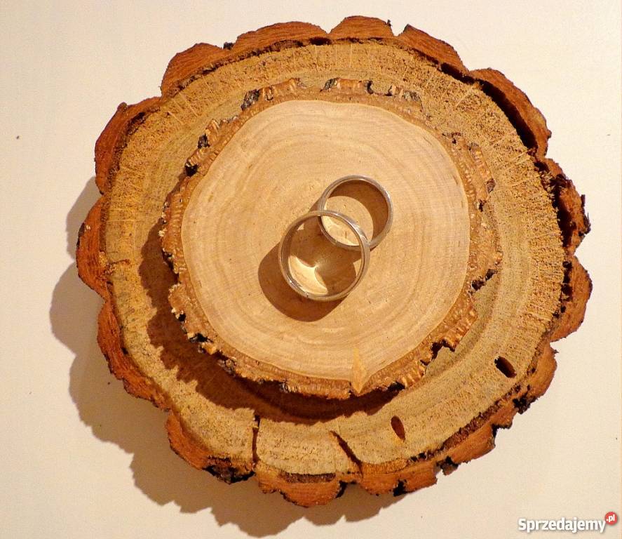 Plastry drewniane krążki brzoza 2528 szlifowane odcienie brązowego