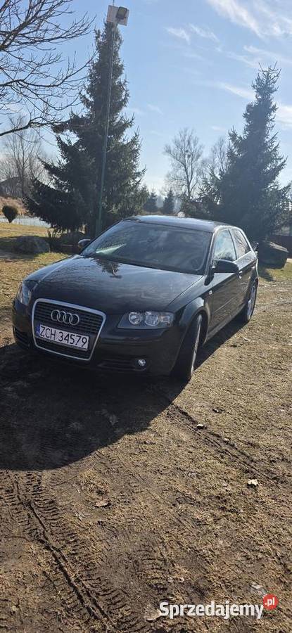 Audi A3 8P 19 Tdi BLS Choszczno