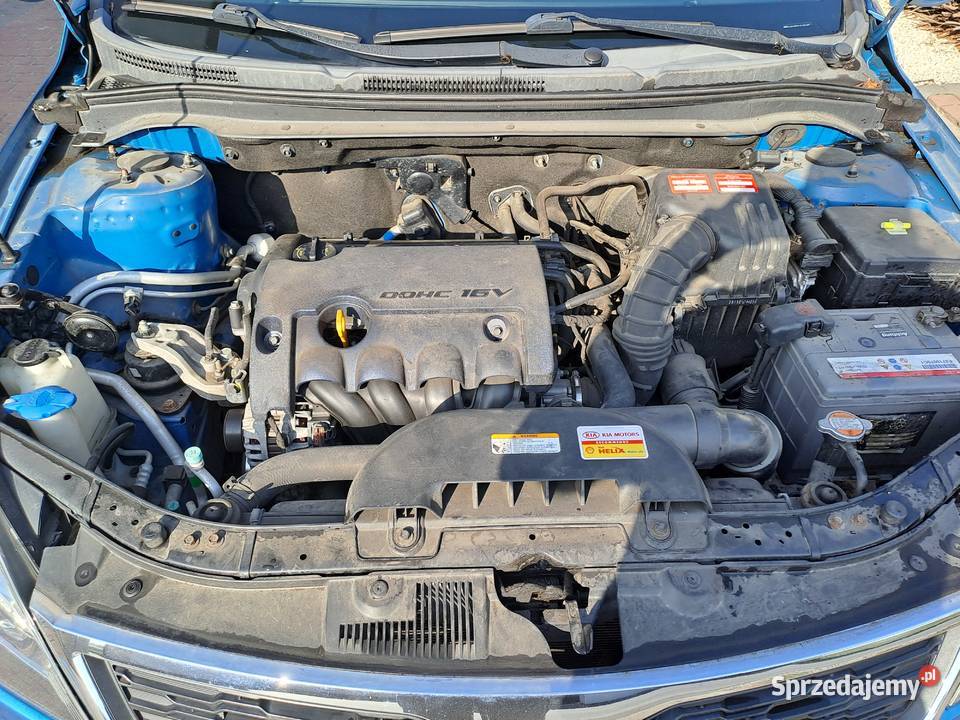 2009 Kia ceed Rabinowo