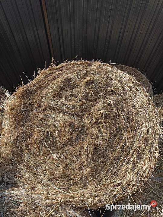 Siano Bele baloty siana siano w belach ze