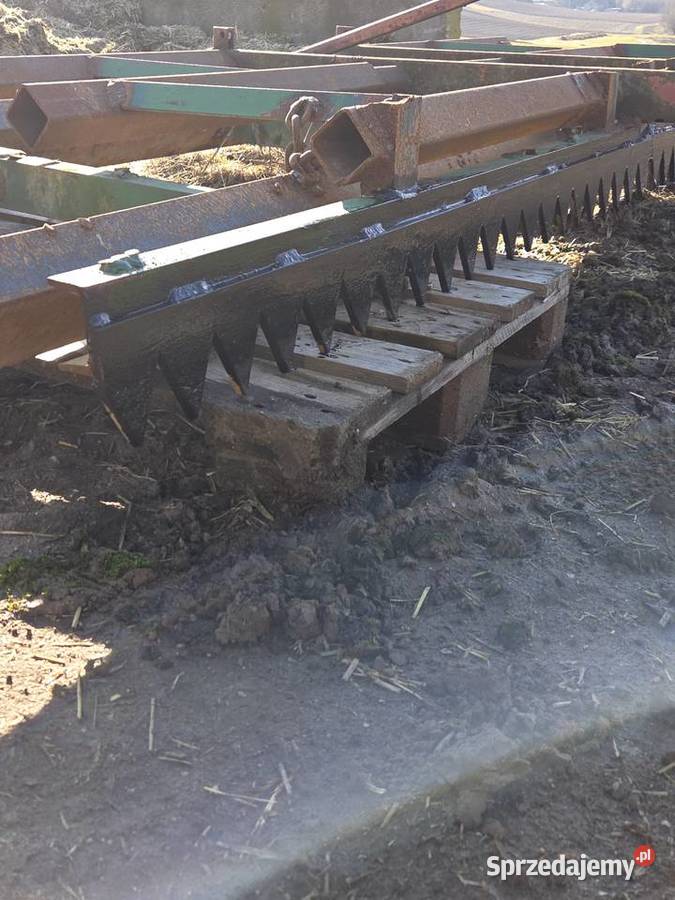 Włóka polowa kujawsko-pomorskie Golub-Dobrzyń