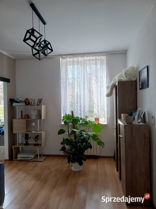 Mieszkanie 42m2 parter sprzedam