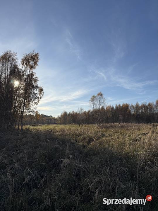 Działka rolna 1300m Wieluń 15zł/m2 Sprzedaż łódzkie