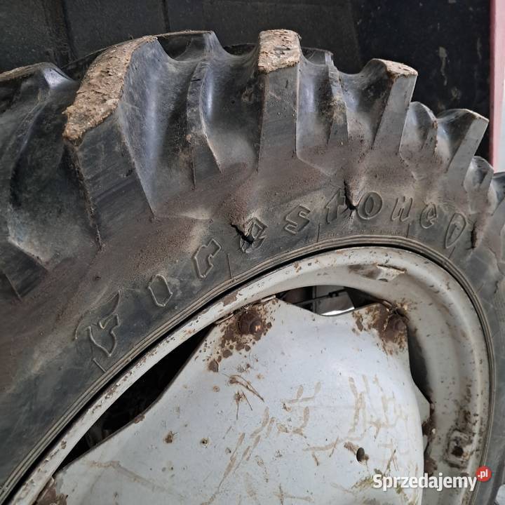 Massey ferguson 590 Ferguson Goleniów sprzedam