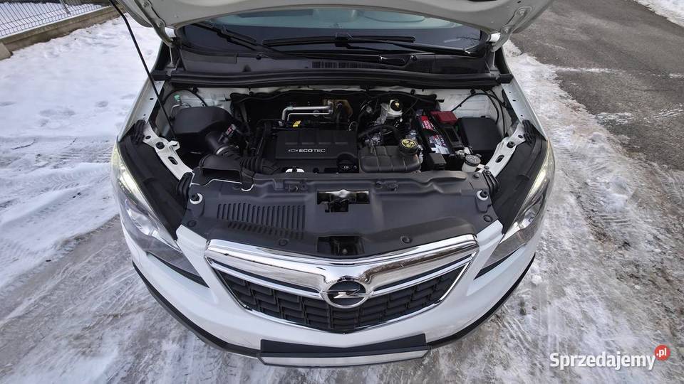 MOKKA 14TBiała Perła Napęd 4x4 Benzyna Kamera Gostynin