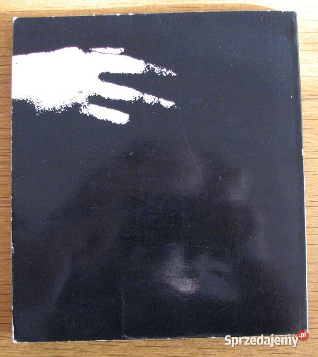 Pius Rast Józef Sadzik Wincenty Pallotti Kultura i Rozrywka Parczew