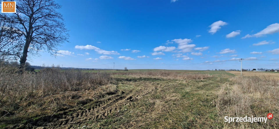 Grunt PrandocinIły 1604m2 Sprzedaż Prandocin-Iły