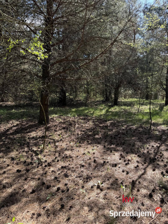 Do sprzedaży działka Przyborowo 3080m2