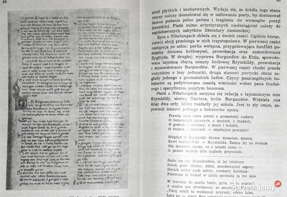 Historia literatury niemieckiej Marian Szyrocki twarda Pozostałe lubelskie Chełm