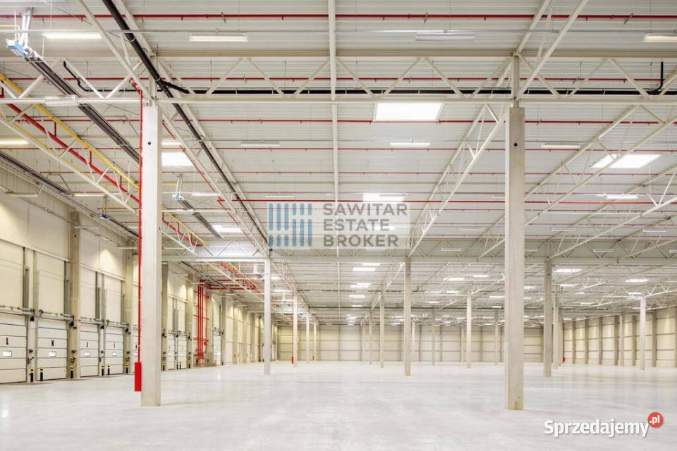 Hala klasy A zaraz Bez Prowizji Gdańsk