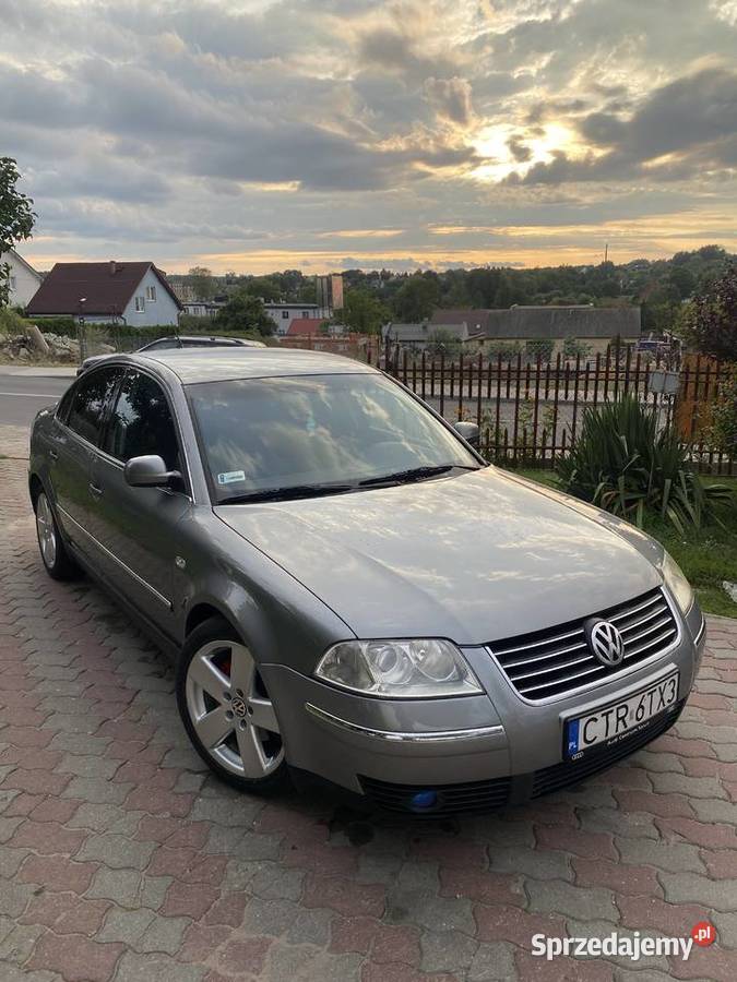 Passat B5FL 2001