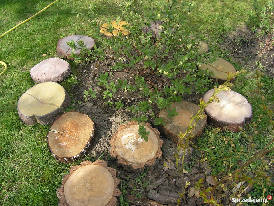 Drewno betonowedeski z betonupieńki Dom i Ogród Kargowa