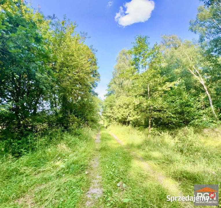 sprzedaży działki Pobierowo 11000m2
