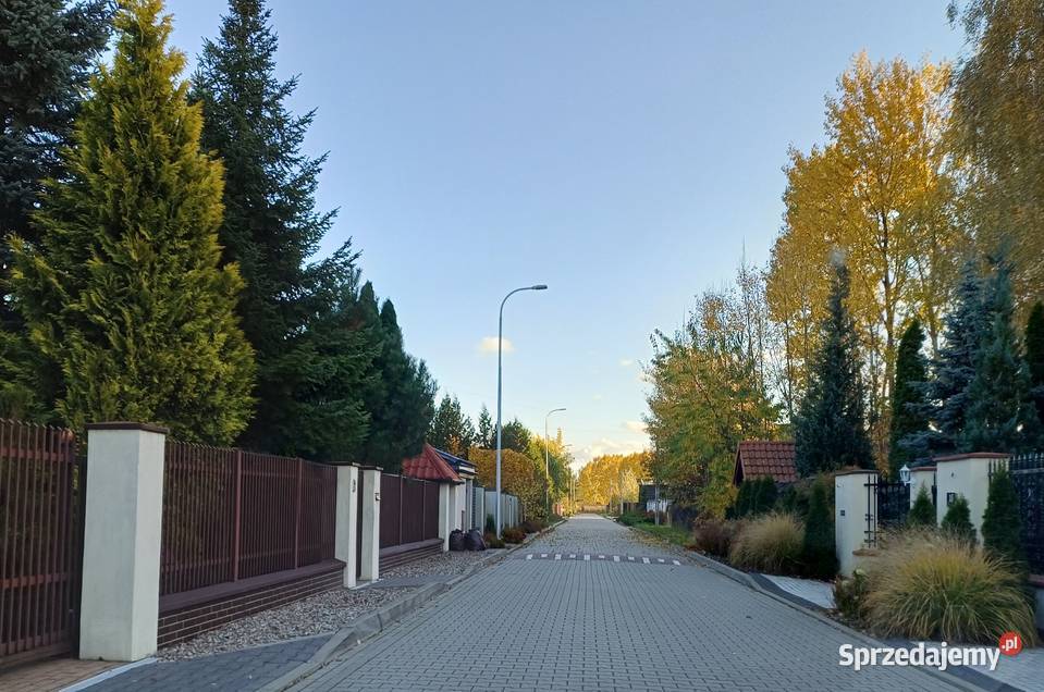 Działka 1050 m Rusiec cisza szkoła 700 m media 3 Grunty i działki