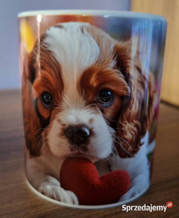 Kubek fana kotów psów z napisem Żeby kawka miała Kraków