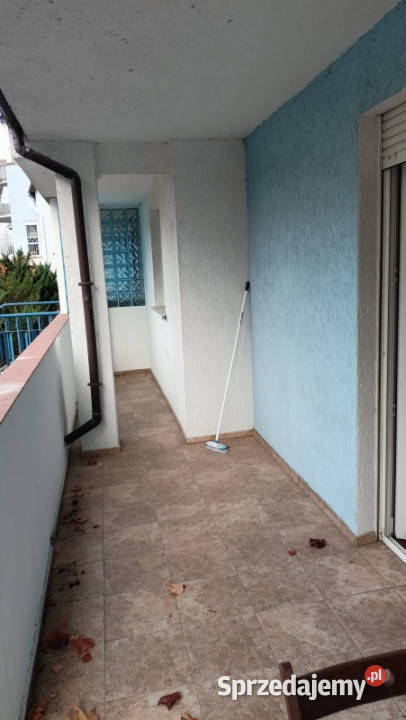 Kawalerka z tarasem Poznań sprzedam