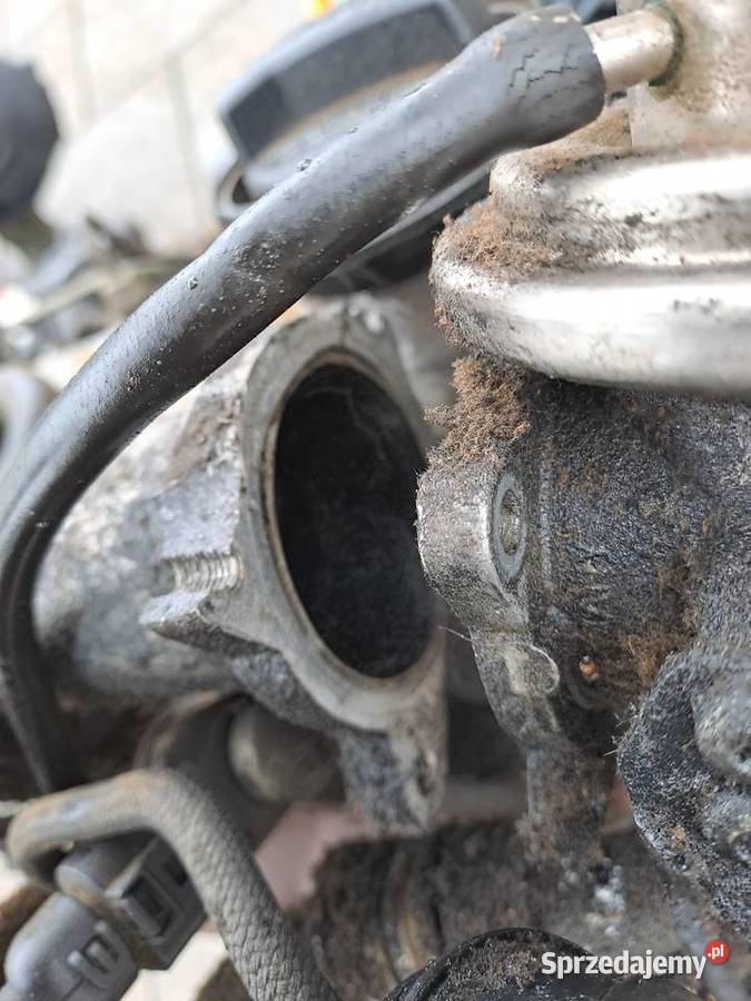 Volkswagen Golf IV 19 TDi skrzynia biegów kod śląskie