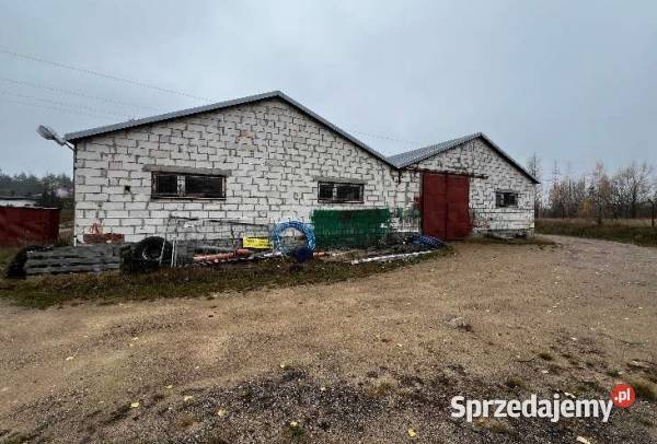 Syndyk sprzeda nieruchomość Piaskowa 7 Suwałki