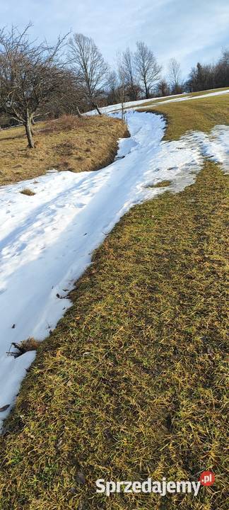 Sprzedam działkę Wilkowisko sprzedam