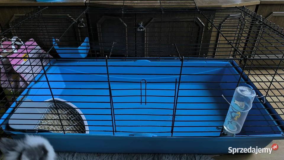 Duża klatka królika innego gryzonia 100 x 50 x Dla gryzoni