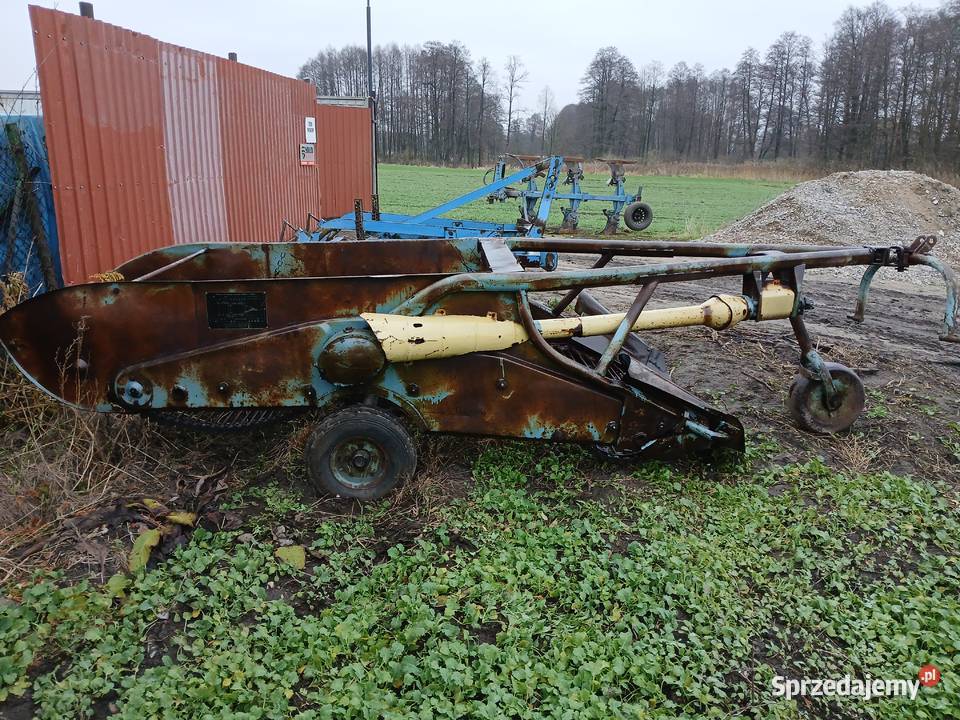 Kopaczka elewatorowa Kopaczka do ziemniaków Rzgów