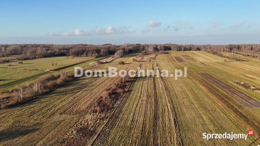 Działka Jodłówka 8587m2 330m