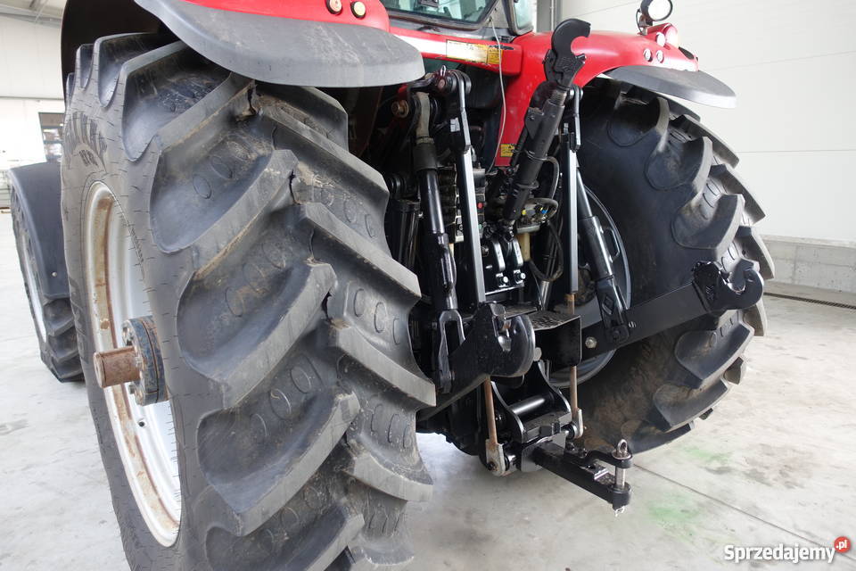 Massey Ferguson 6499 Massey Ferguson Sokoły