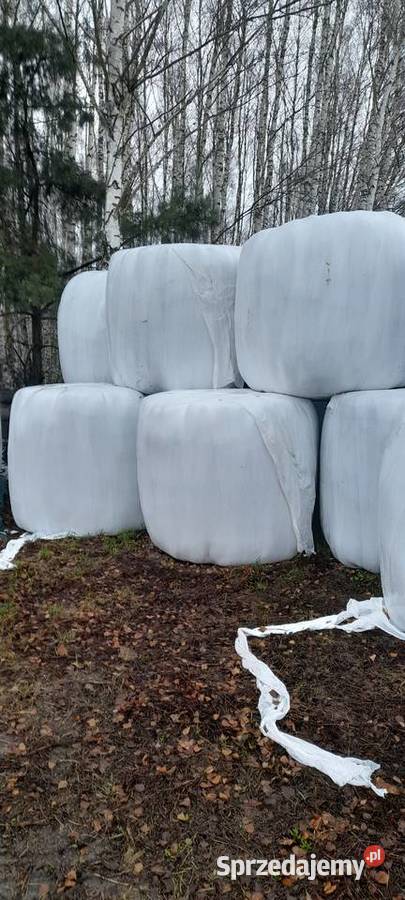 Sianokiszonkę 2022 sprzedam Ozimek sprzedam