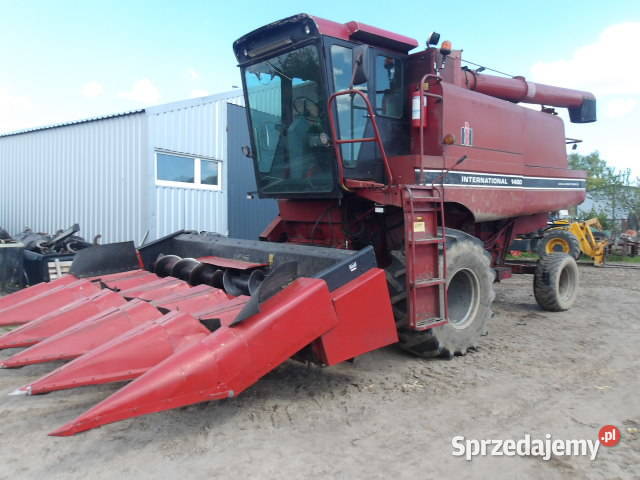 Kombajn Case International 1460 do kukurydzy Tychowo