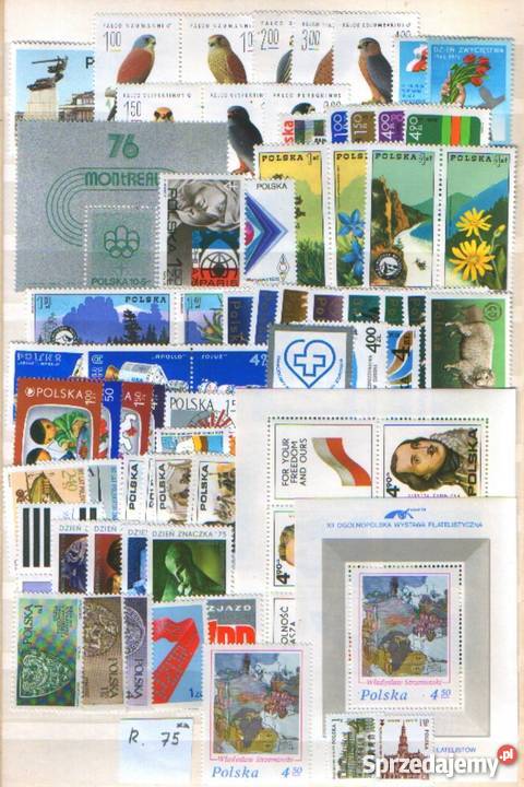 Zn Rocznik 1975 Gliwice