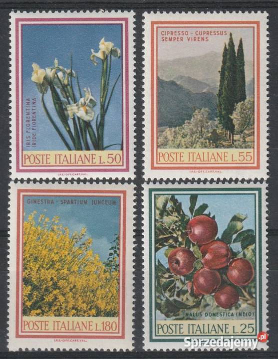 WŁOCHY FLORA 1967 CZYSTE