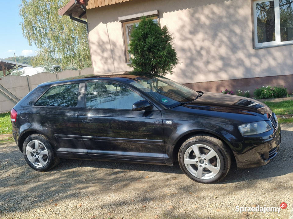 Audi A3 3drzwiowe 16 102 BENZ alu klimatronik VAT marża podkarpackie Rymanów