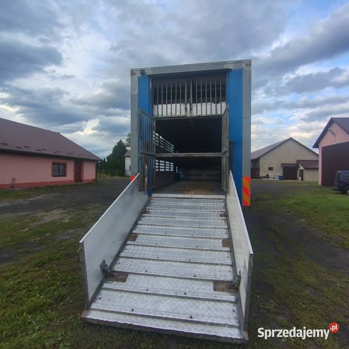 zabudowa do żywca Ostrożanka