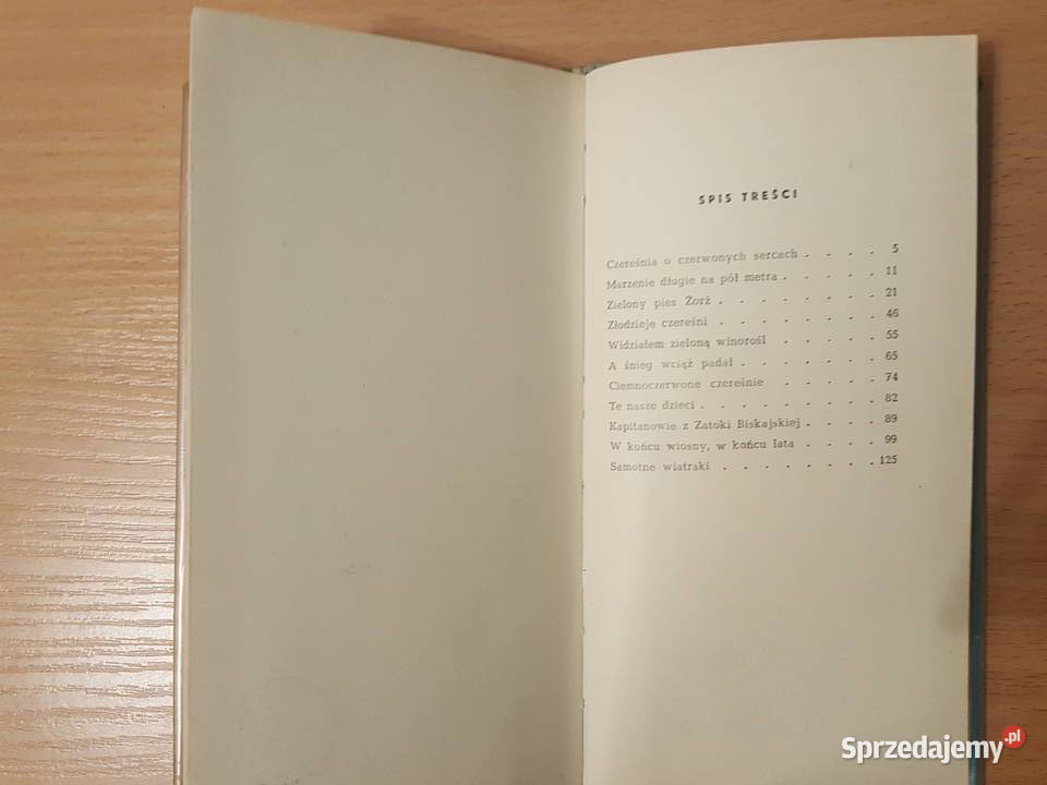 KSIĄŻKA Marzenie długie na pół metra młodzieży wielkopolskie Złotniki
