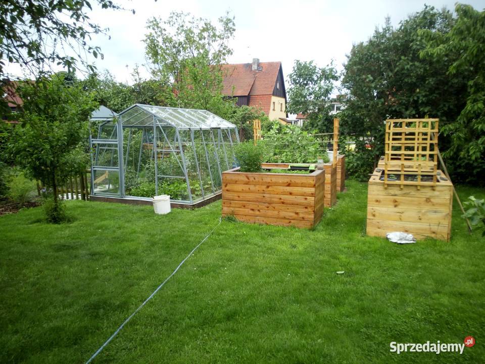 szklarnia Laura Łobez