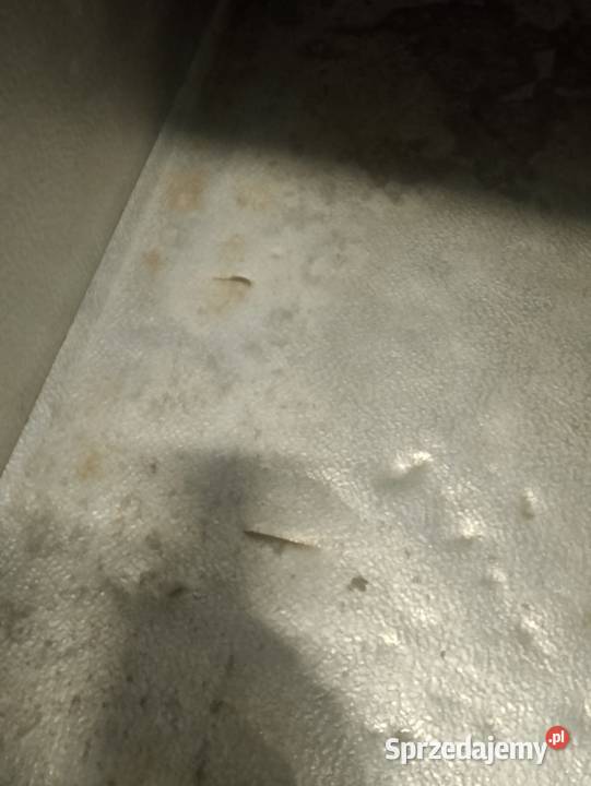 Szafa mroźnicza SN500 S Wrocław