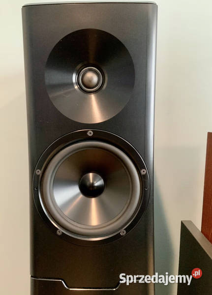 BEST OFFER DEMO YG Acoustics Hailey 22 Stoczki