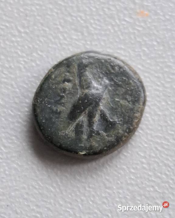 Moneta antyczna Grecja Aeolis Kyme 350250 BC Wejherowo sprzedam