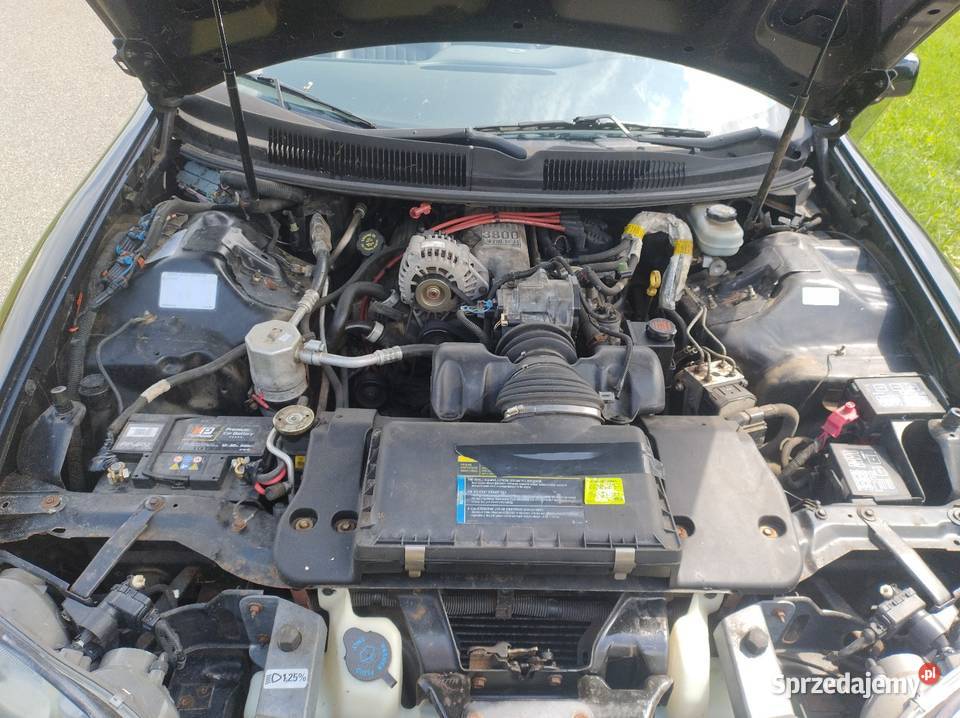 Chevrolet Camaro IV Convertible 2001r 38 V6 1 Wł 2218003km Elbląg