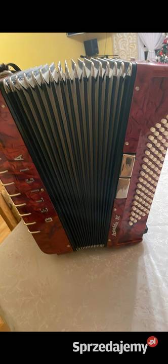 DELICJA ARNALDO IV 80 podkarpackie Wielopole Skrzyńskie