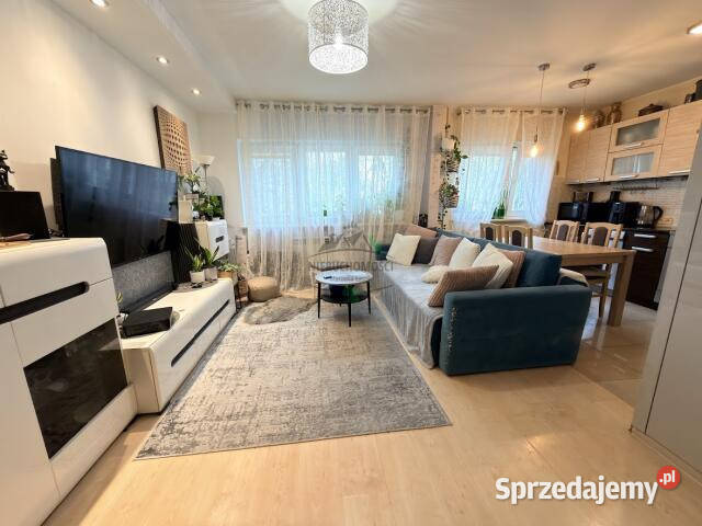 Mieszkanie sprzedam 4602m2 2 pokoje Warszawa Rok budowy 1963