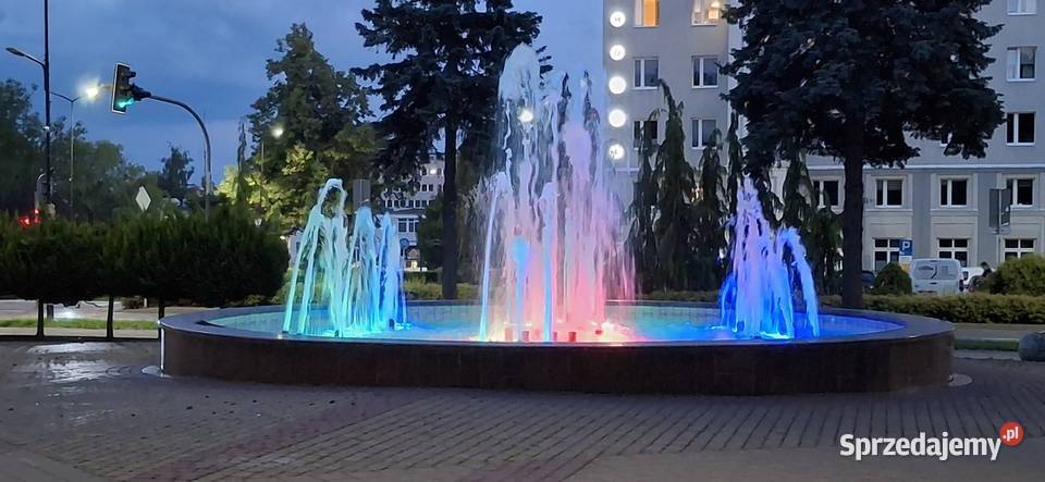 Przestronna kawalerka 35 m kw w centrum placu z Piętro 1 Świdnik
