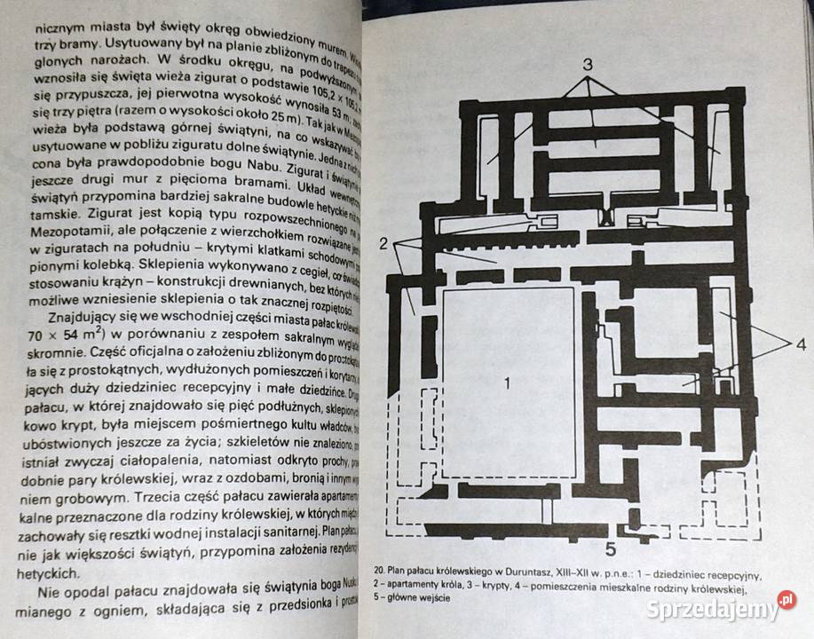Sztuka Starożytnego Wschodu II Antoni miękka Chełm sprzedam