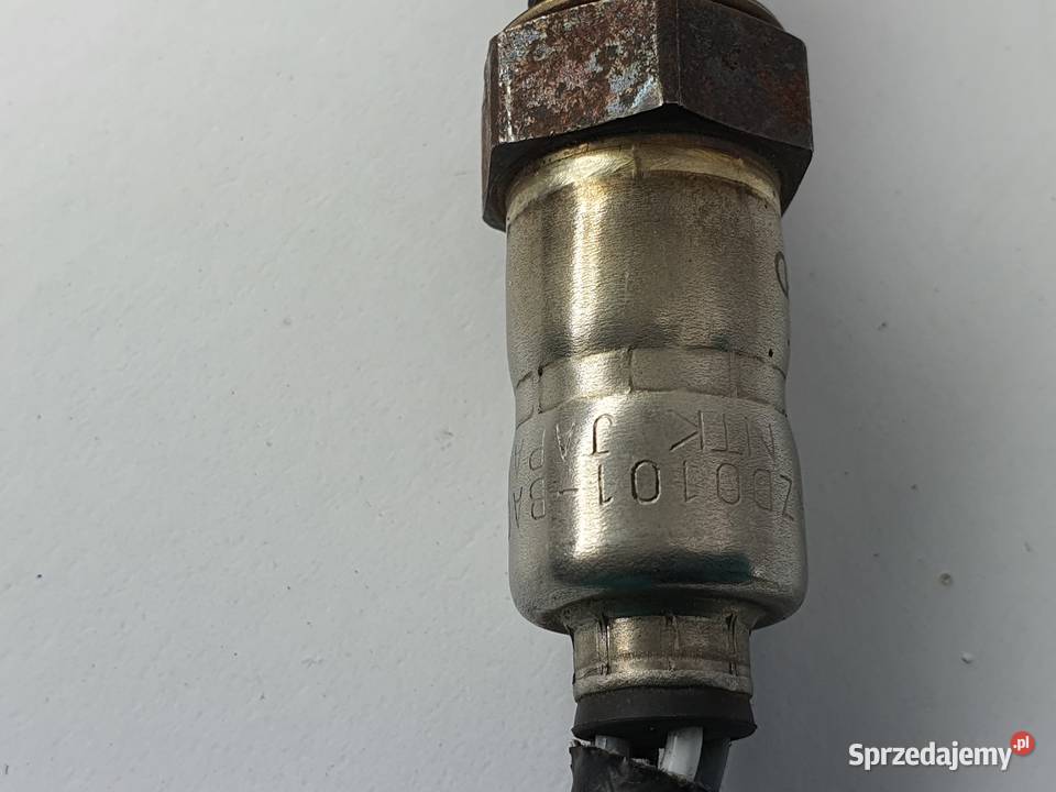 Sonda Triumph Tiger Explorer 1200 Łódź