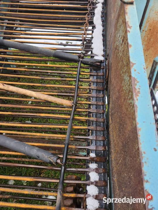 Kombajn ziemniaczany karlik Siemkowice