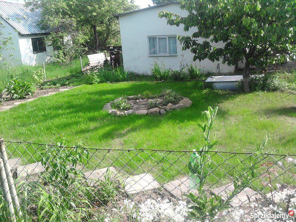 Sprzedam ogródek działkowy w Zielonej Górzę RODZ lubuskie